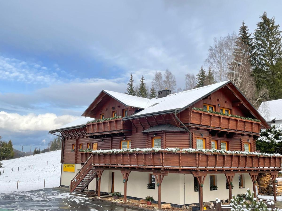 Pension Grizzly Ludvikov Exterior photo