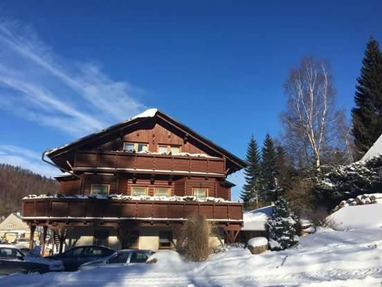 Pension Grizzly Ludvikov Exterior photo
