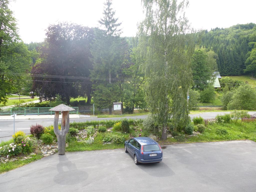 Pension Grizzly Ludvikov Exterior photo